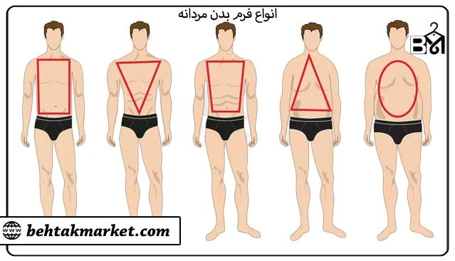 نمای کلی انواع فرم بدن مردانه