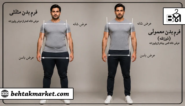 مقایسه فرم بدن مثلثی با فرم متناسب مردانه